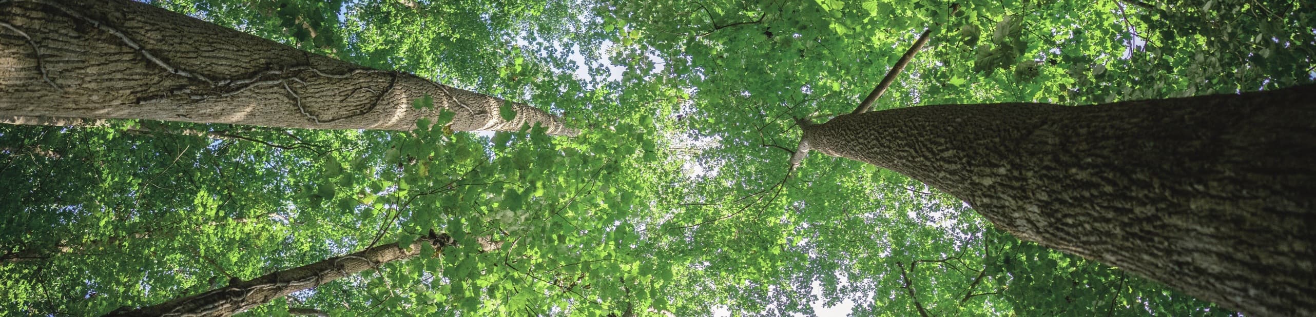 4001老百汇net(集团)NO.1官方网站